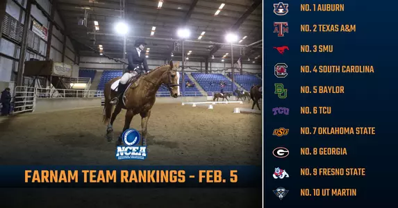 ncea_top_10_rankings_25
