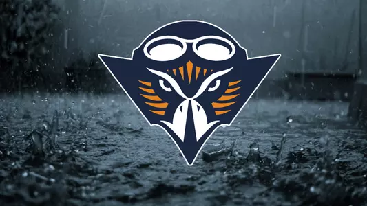 Baseball Rain