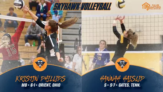 volleyball_additions