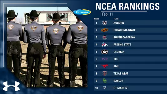 ncea_ranked_211