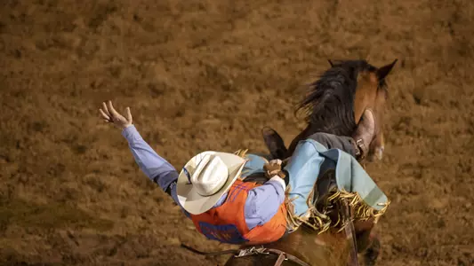 rodeo_generic5_300