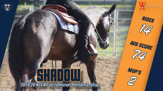 shadow_ncea_top-10_horse