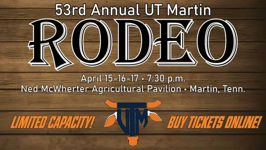 rodeo_poster_ticket_graphic