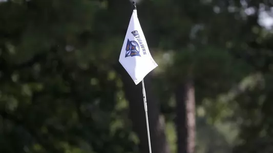 skyhawk_head_golf_pin_flag