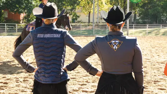 equestrian_backs_generic