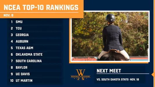ncea_ranked_118