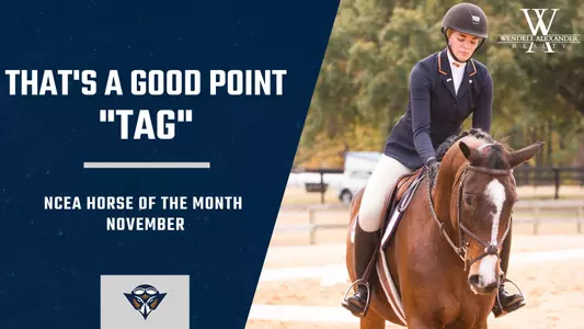 tag_ncea_horse_of_the_month_november