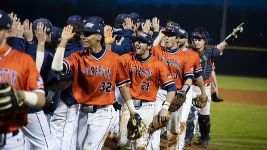 Baseball Handshakes