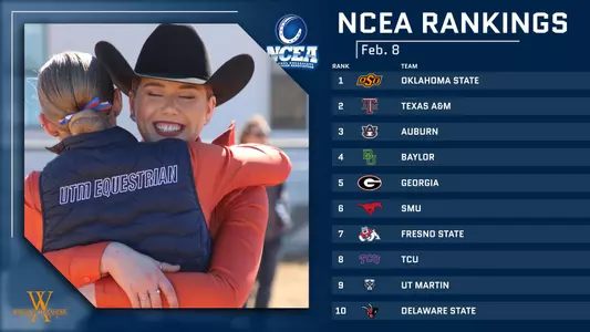 ncea_ranked_28