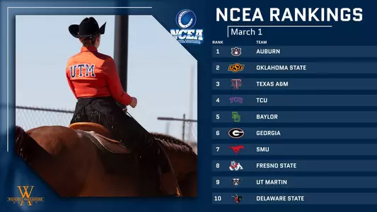 ncea_ranked_31