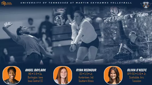 three_volleyball_additions4