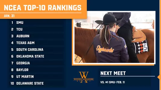 ncea_ranked_131