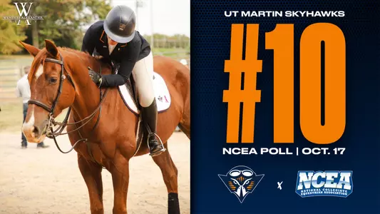 ncea_ranked_1017