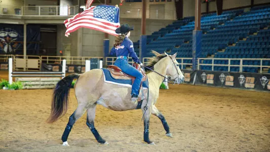 generic_american_flag
