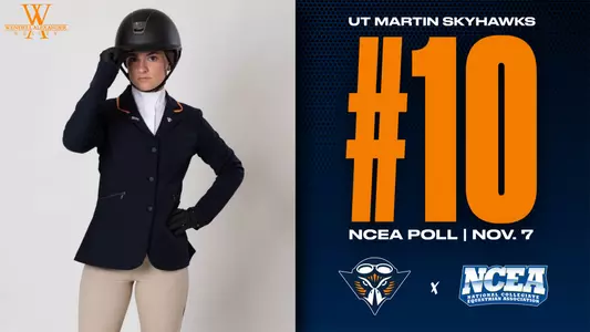 ncea_ranked_117