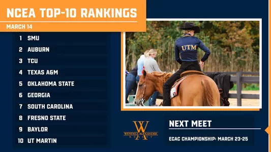 ncea_ranked_314