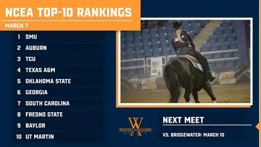 ncea_ranked_37
