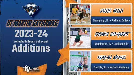 three_summer_additions