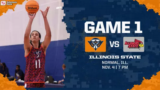 illinois_state_preview