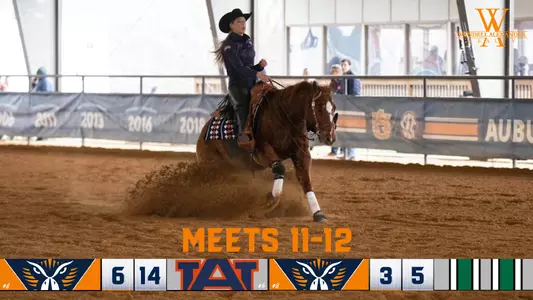 auburn-dartmouth recap