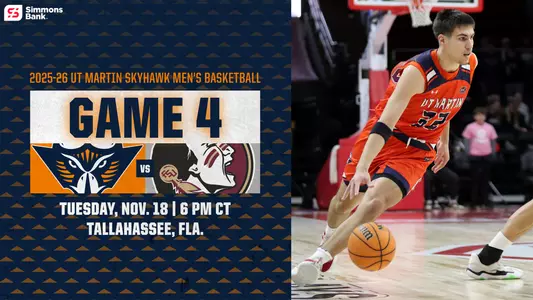 florida_state_preview