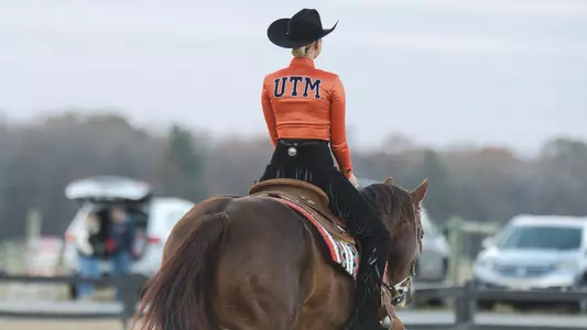 equestrian_generic_back_300