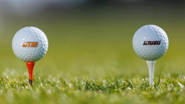 golf_balls_generic