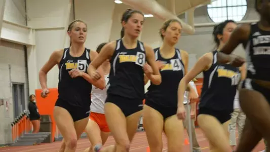 Timmons, Pusateri, Gaysunas - Indoor BG