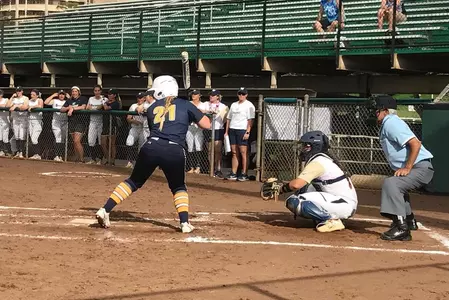 chandler rice hawaii