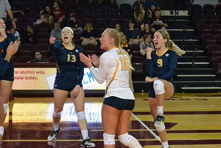 volleyball celebration