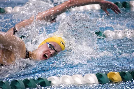 Toledo Freestyler during 2018 MAC Championships