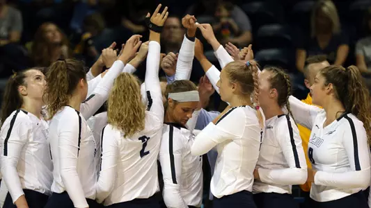 Toledo Volleyball Team