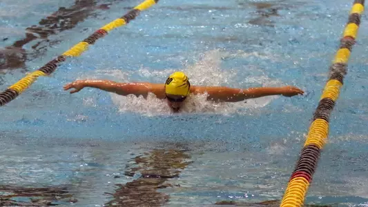 Nejla Karic - Blue & Gold Meet