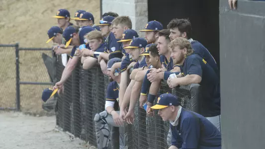 Baseball at Wofford