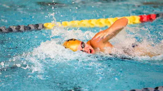 Alexis Schrecongost Blue v. Gold