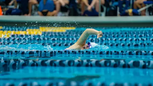 swimming final home meet preview