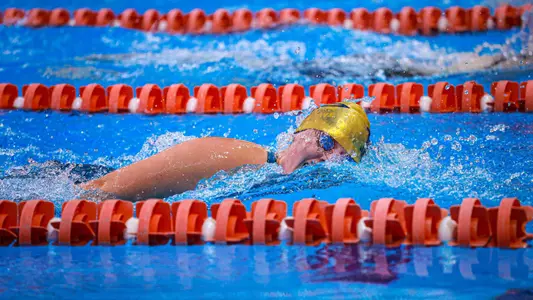 Kennedy Lovell vs CSCAA