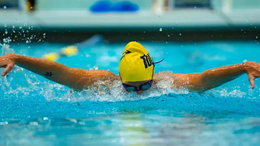 CSCAA National Invitational preview