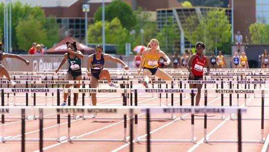 Moehling hurdle