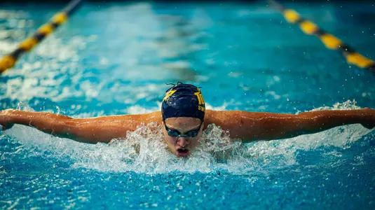 Toledo Blue vs. Gold Sept. 29 at UT Student Recreation Center Pool