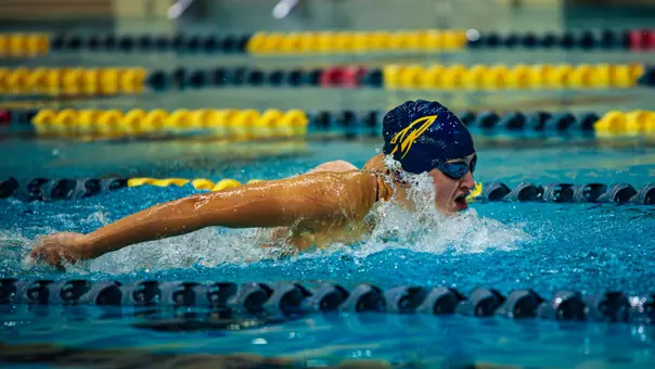 Leah Evans butterfly Blue Vs Gold