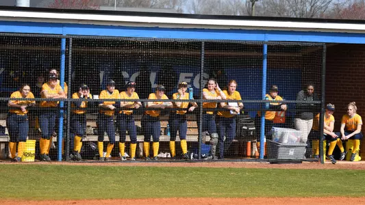 softball dugout shot