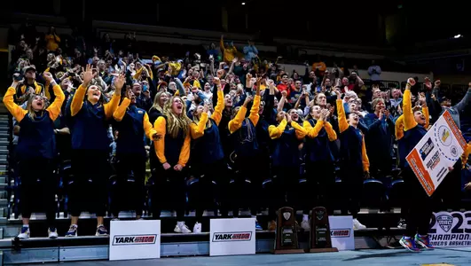NCAA Tournament Women's Basketball Selection Show