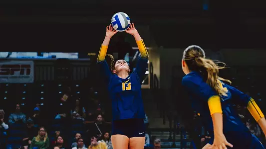 Macy Hatkevich setting