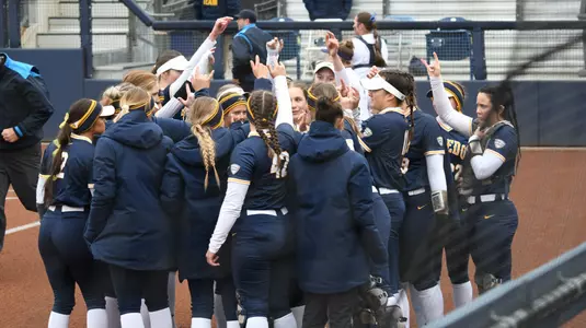 softball at michigan
