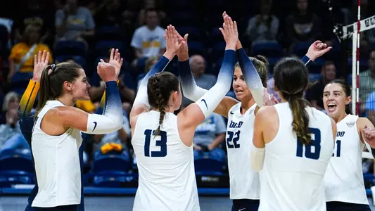 Volleyball Celebration Huddle