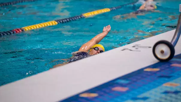 Helena Pinto Cohelo Lopes