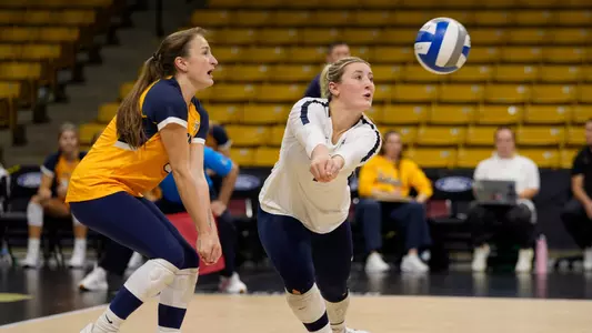 Macy Medors, Grace Freiberger