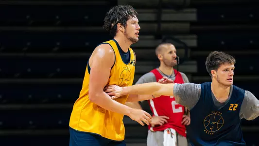 Austin Parks - Tyler Ode