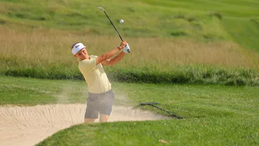 Bence Bertenyi swinging